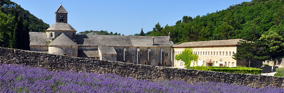 panorama champ de Lavandeen fleurs et l'abbaye de Senanque à Gordes