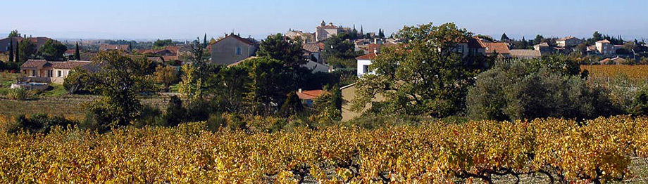 le village viticole d'aubignan