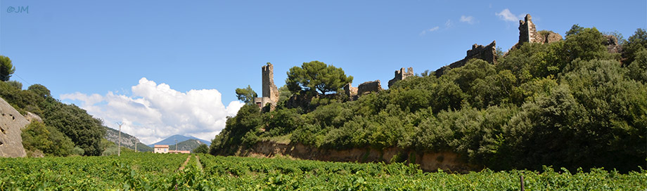 Le vignoble  et les ruines du chateau de Beaumes de Venise