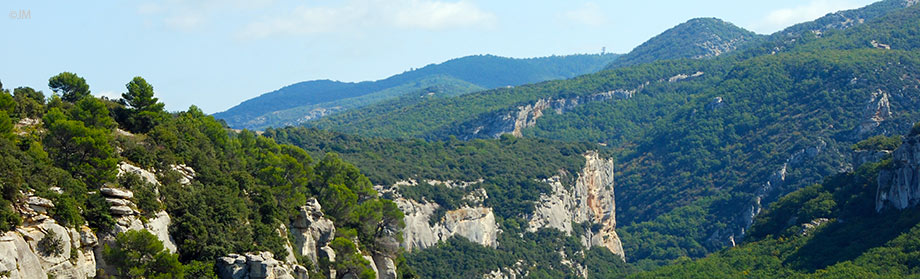 le vallon et les falaises  du vallon de l'Aigrebrun,à Buoux Luberon