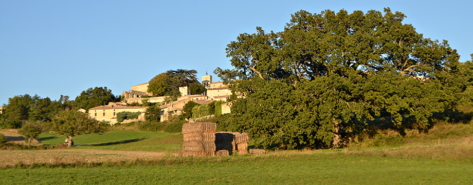 panorama du village de murs et ses prairies