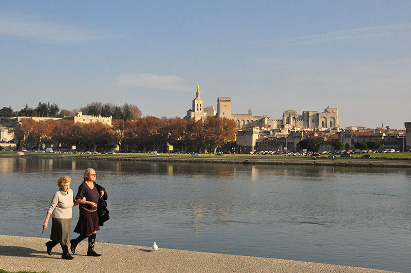 Le   rhône et avignon vue de l'ile de la barthelasse