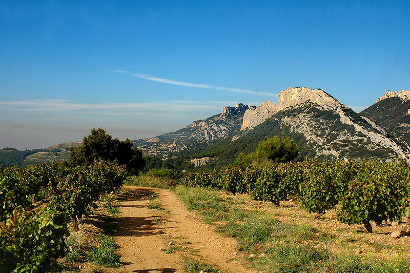 Voir la galerie photo des dentelles de Montmirail