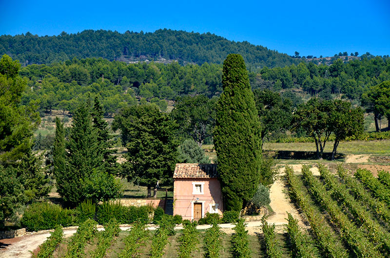 Le village de Blauvac