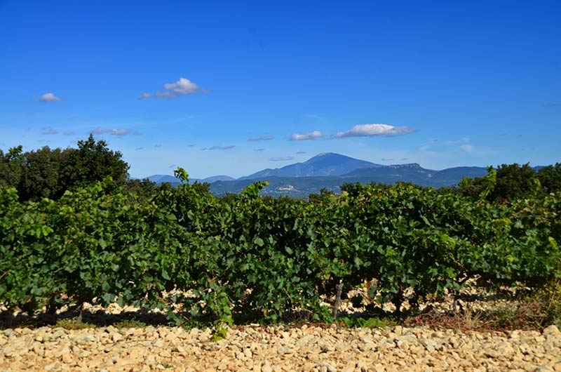 Le village de Blauvac