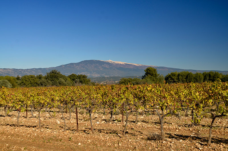 galerie 1 du Mont-Ventoux