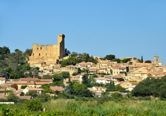 chateauneuf-du-pape