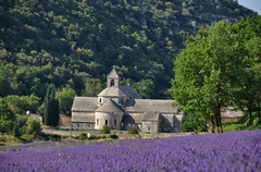 abbaye-senanque