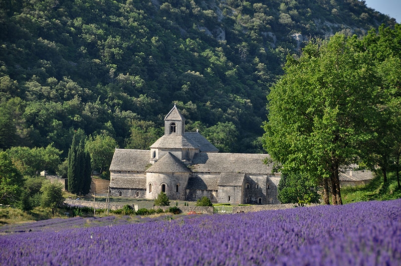 abbaye-senanque