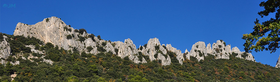 les dentelles de Montmirail