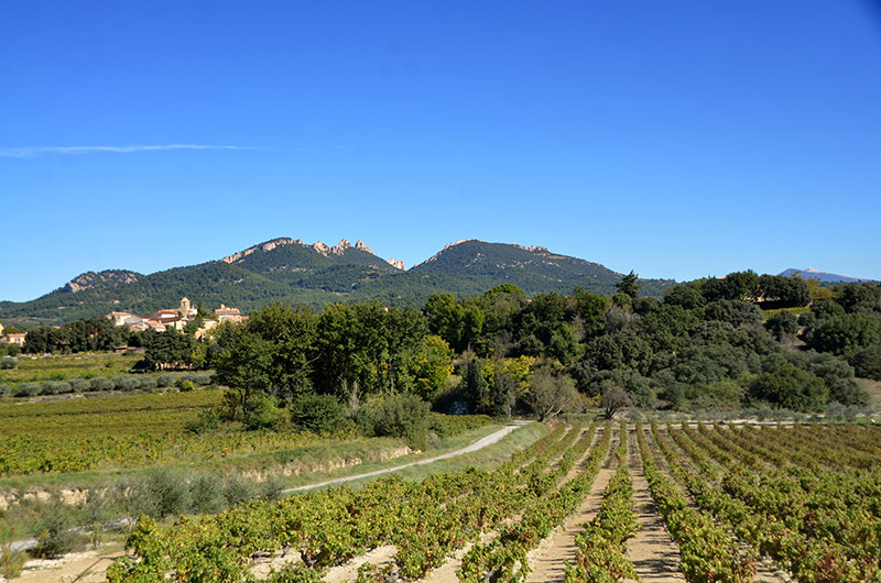 Cliquez pour voir les photos du village de Vacqueyras,au pied des dentelles de Montmirail Le village viticole de Vaqueyras,Haut-Vaucluse