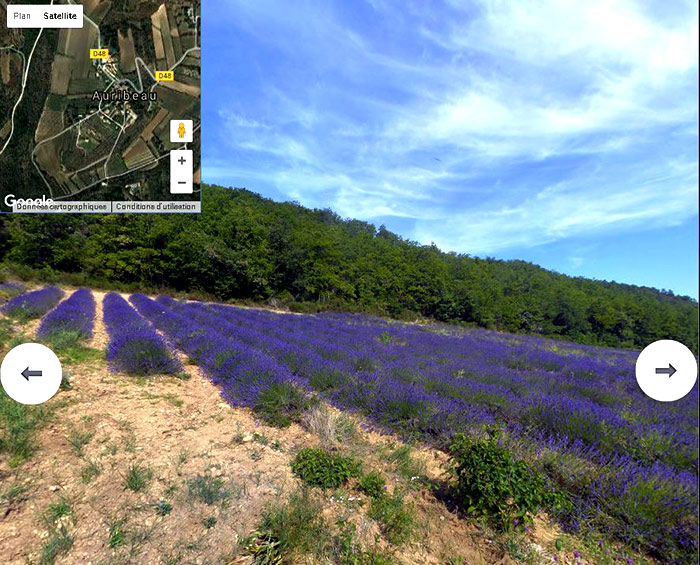 Lavande à Auribeau,Luberon,Vue panoramique a 360°