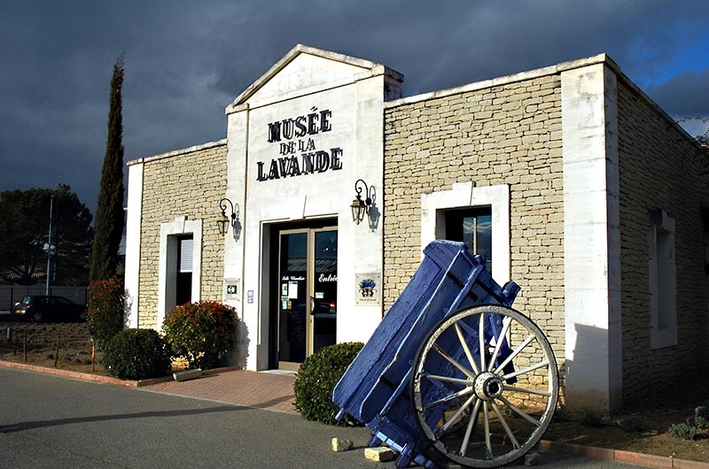 musee-de-la-lavande