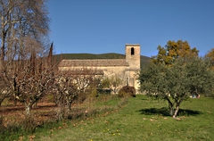 vaugines